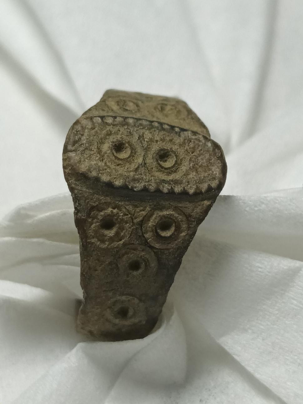 Descoperire arheologică rară într-o pădure din Bihor. Obiectul vechi de 1.500 de ani a fost dus la primărie 882711
