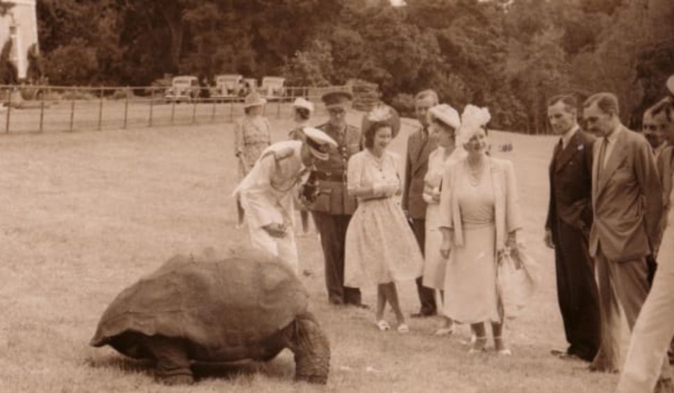 Prințul Edward a întâlnit o țestoasă care a fost contemporană cu reginele Victoria și Elisabeta. Jonathan este considerat cel mai bătrân animal terestru din lume