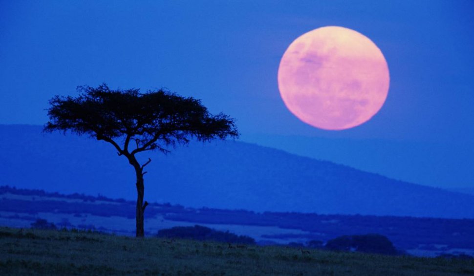 Luna plină în Leu, 25 ianuarie 2024 | Ce e bine să faci în această perioadă