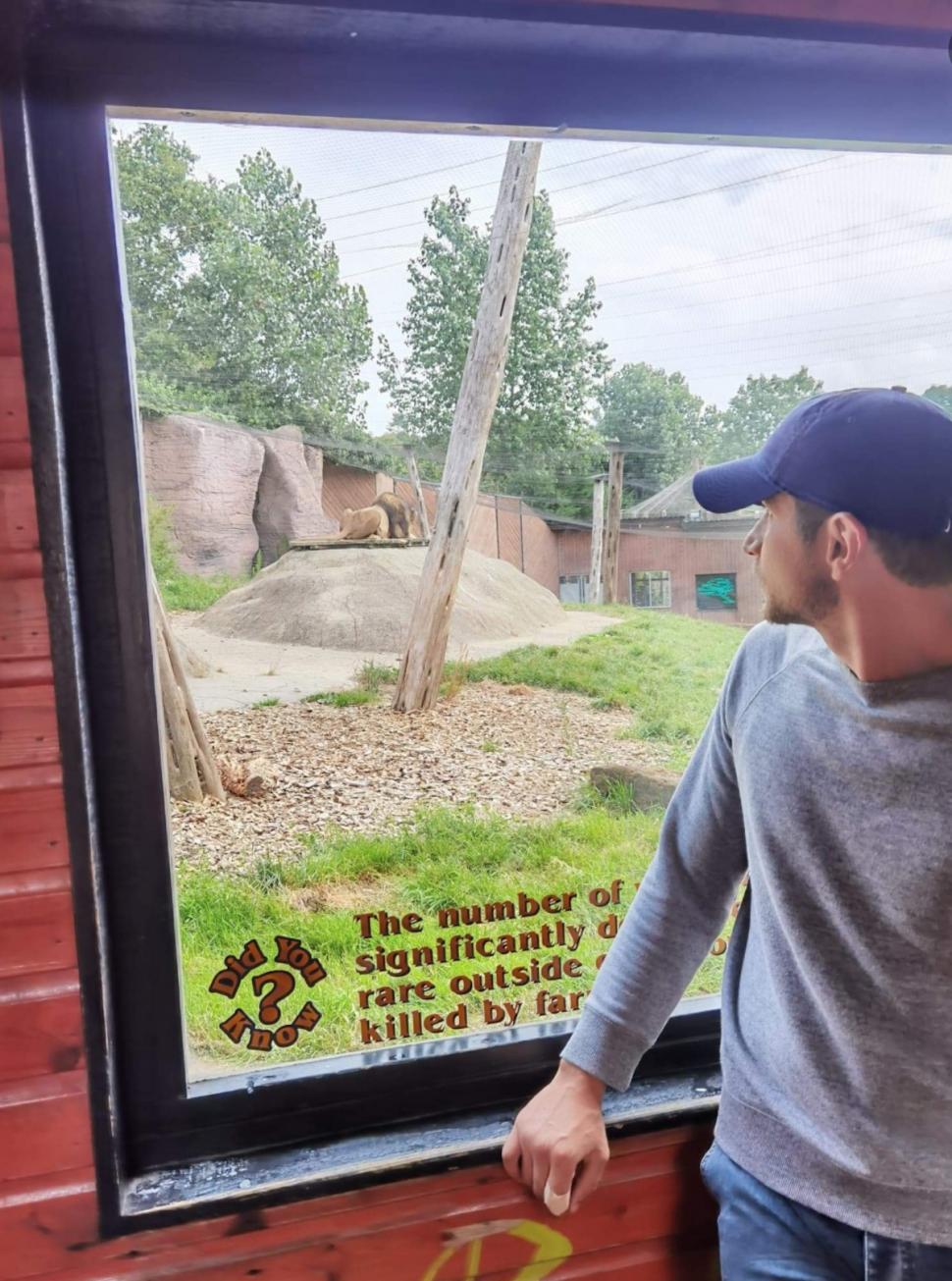 El este Adrian, tânărul ucis de cel mai bun prieten, la Slobozia! Trecătorii au crezut că doarme, pe o bancă 883146