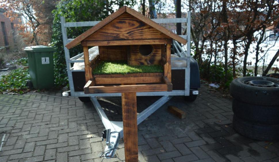 Un român stabilit în Belgia face "vile pentru animale". Au chiar şi parcuri de joacă | "Se pot distra cu adevărat" 883199