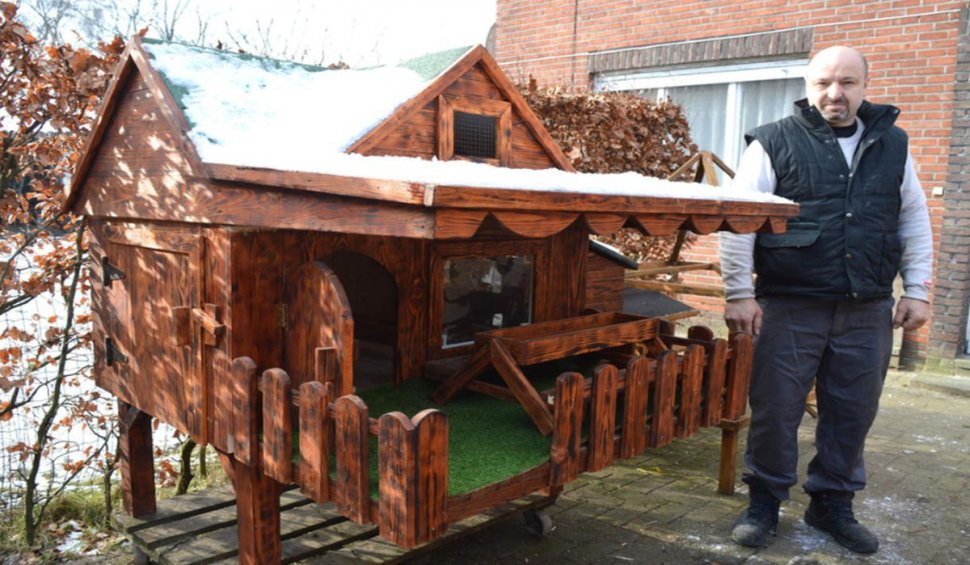 Un român stabilit în Belgia face "vile pentru animale". Au chiar şi parcuri de joacă | "Se pot distra cu adevărat"