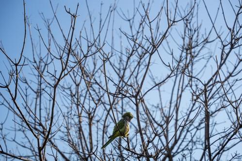 A venit vara în Spania, în ianuarie! Temperaturile au urcat local la peste 30 de grade, iar oamenii au ieșit la plajă 883138