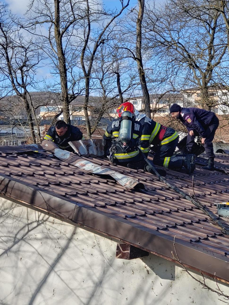 Incendiu la Grădina Zoologică din Râmnicu Vâlcea. A luat foc acoperişul pavilionului unde sunt maimuţele 883269