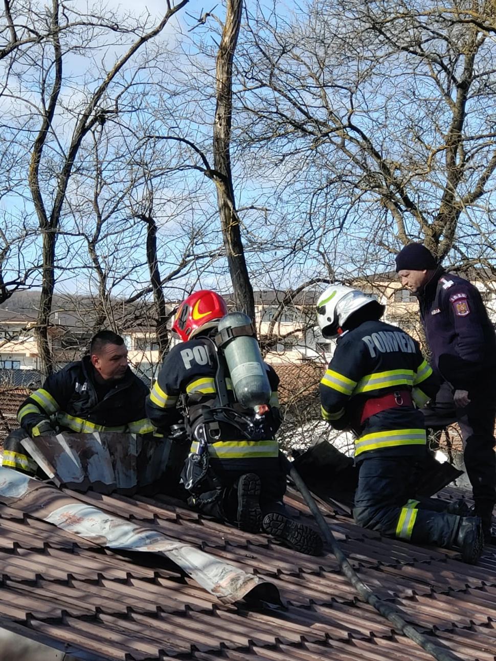 Incendiu la Grădina Zoologică din Râmnicu Vâlcea. A luat foc acoperişul pavilionului unde sunt maimuţele 883270