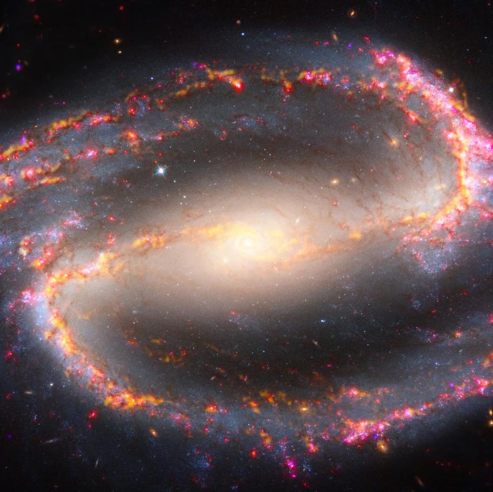 "Nu sunt doar uimitoare, ci spun o poveste": Imagini inedite cu 19 galaxii spirală, surprinse de telescopul spațial James Webb 883771