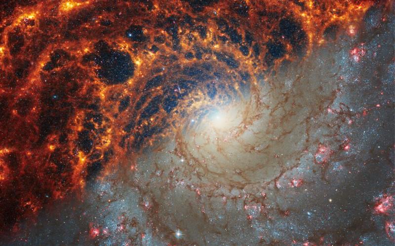 "Nu sunt doar uimitoare, ci spun o poveste": Imagini inedite cu 19 galaxii spirală, surprinse de telescopul spațial James Webb 883776