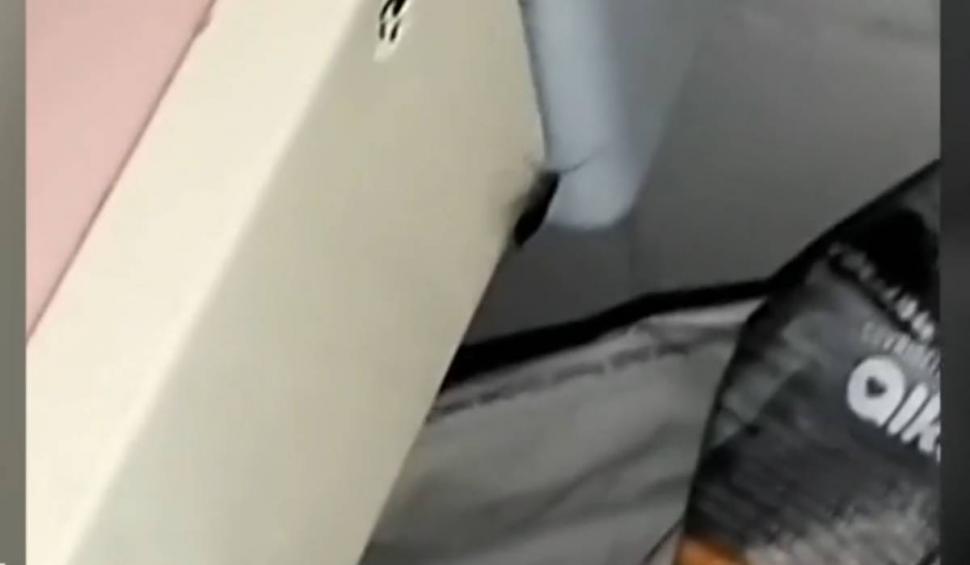 Imagini terifiante, surprinse la spitalul de copii din Botoşani. Mai mulți gândaci, în saloanele celor mici 884696