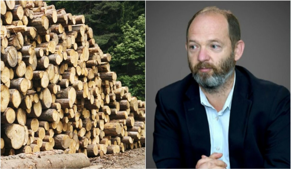 Industria lemnului se pregătește de proteste. Președintele Asociației Prolemn: "Noi cerem respect"
