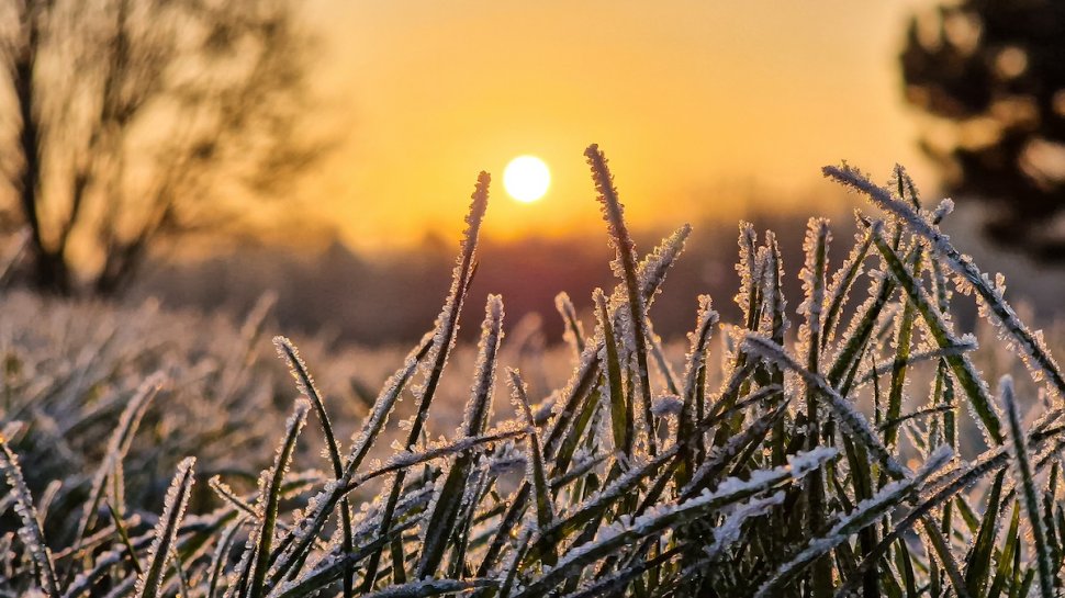 Temperaturi anormale în februarie, în România! Prognoza meteo pentru următoarele patru săptămâni