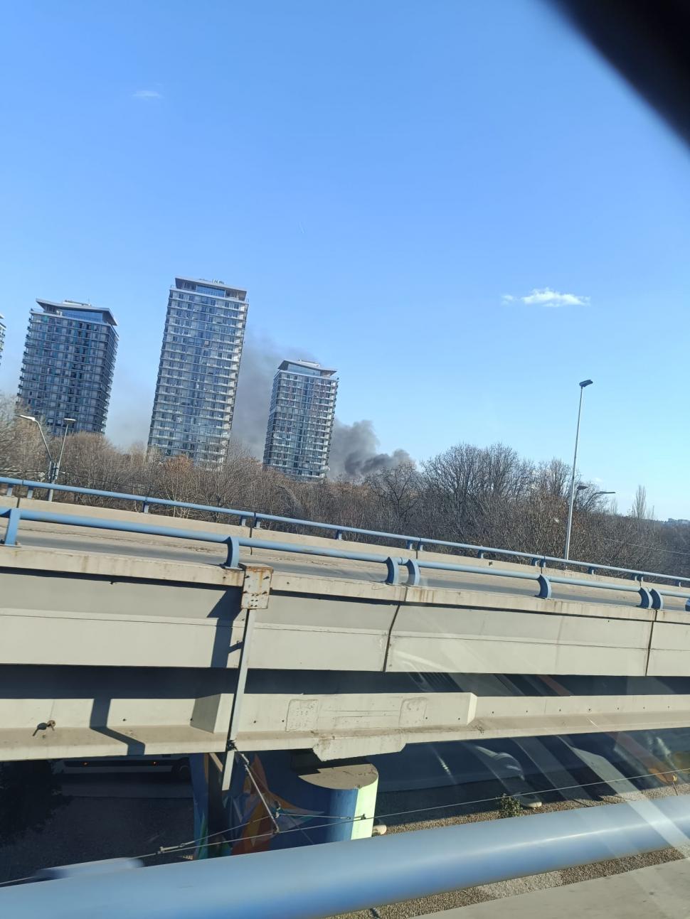 Incendiu puternic în Delta Văcărești! Pompierii din București au reuşit să localizeze focul. Au ars şase hectare 885489