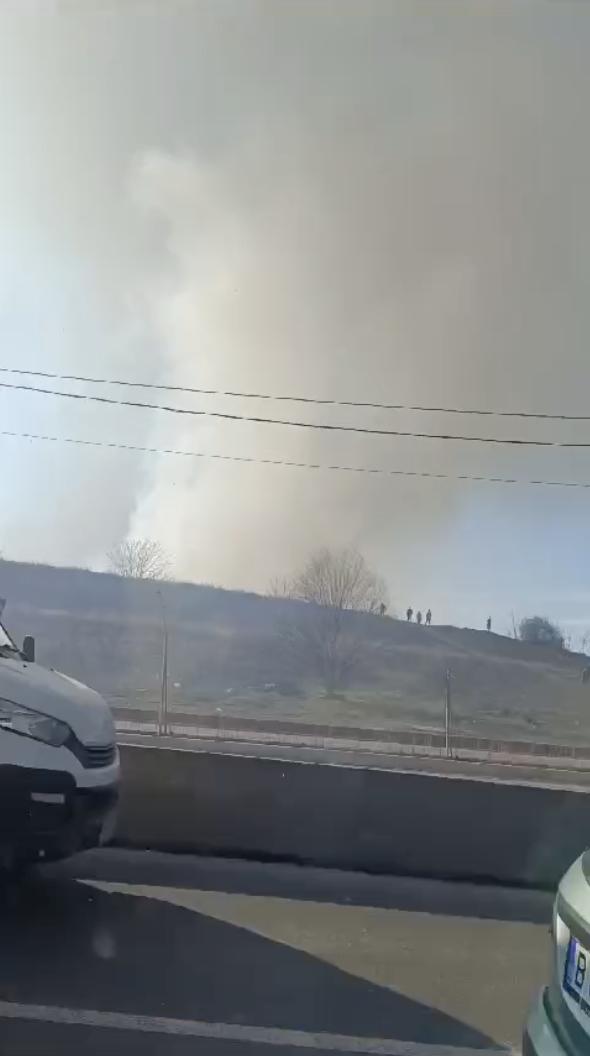 Incendiu puternic în Delta Văcărești! Pompierii din București au reuşit să localizeze focul. Au ars şase hectare 885492