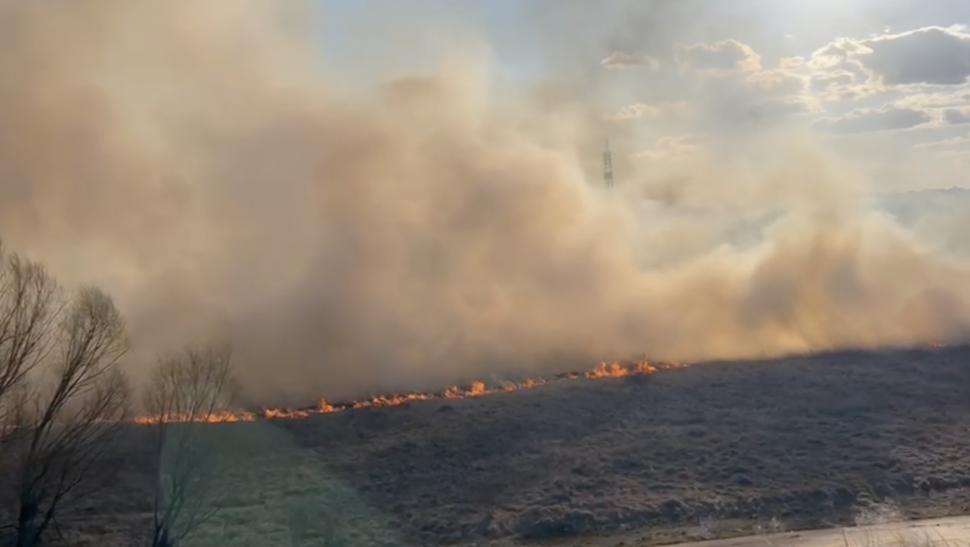 Incendiu puternic în Delta Văcărești! Pompierii din București au reuşit să localizeze focul. Au ars şase hectare 885493