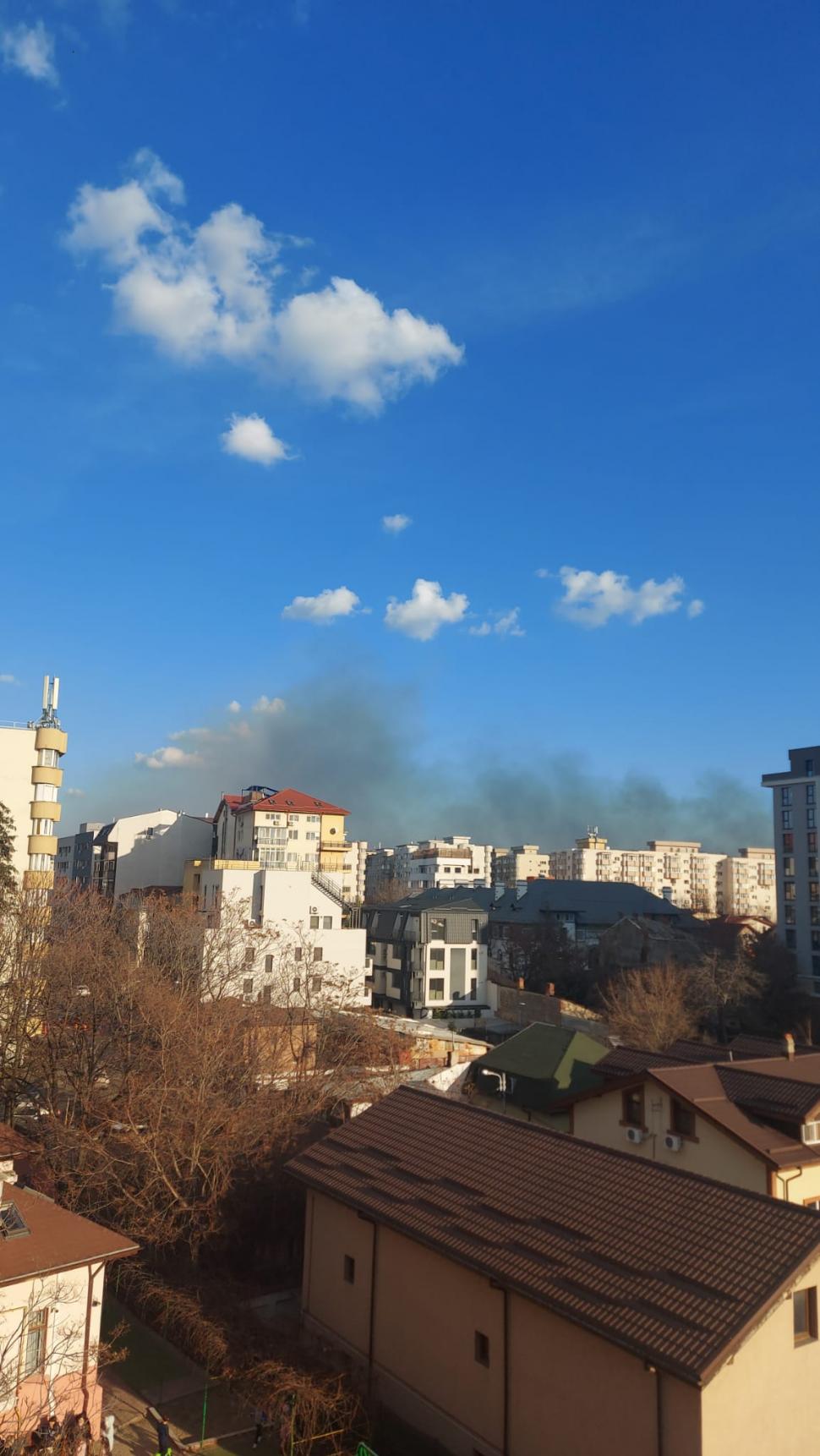 Incendiu puternic în Delta Văcărești! Pompierii din București au reuşit să localizeze focul. Au ars şase hectare 885494