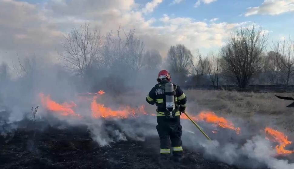 Incendiu puternic în Delta Văcărești! Pompierii din București au reuşit să localizeze focul. Au ars şase hectare 885500