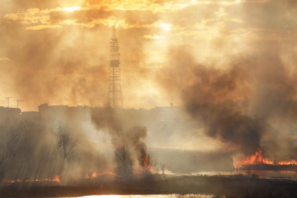 Incendiu puternic în Delta Văcărești! Pompierii din București au reuşit să localizeze focul. Au ars şase hectare 885576