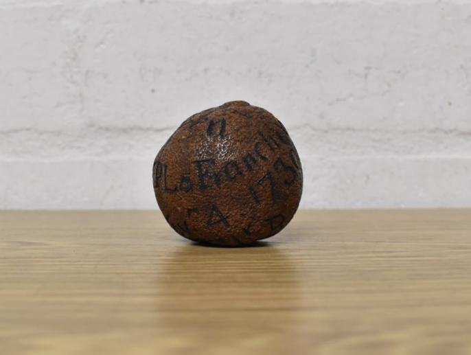 Suma colosală cu care a fost scoasă la licitație o lămâie veche de 285 de ani 885558