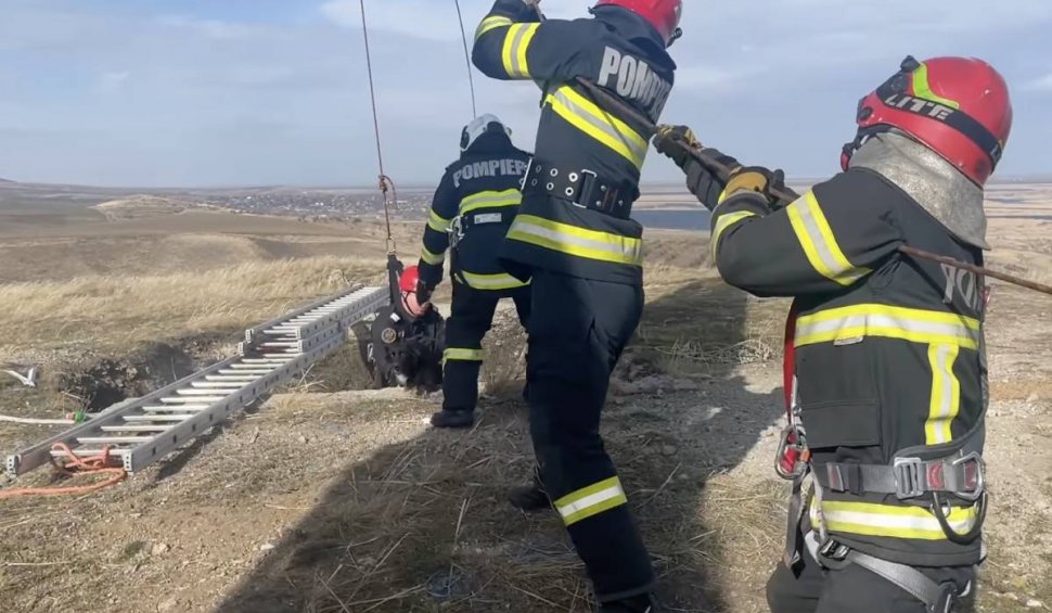 "A rezistat eroic". Un câine căzut într-o groapă de 30 de metri a fost salvat după trei zile de pompierii din Tulcea