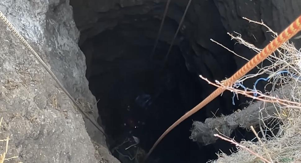 "A rezistat eroic". Un câine căzut într-o groapă de 30 de metri a fost salvat după trei zile de pompierii din Tulcea 886135