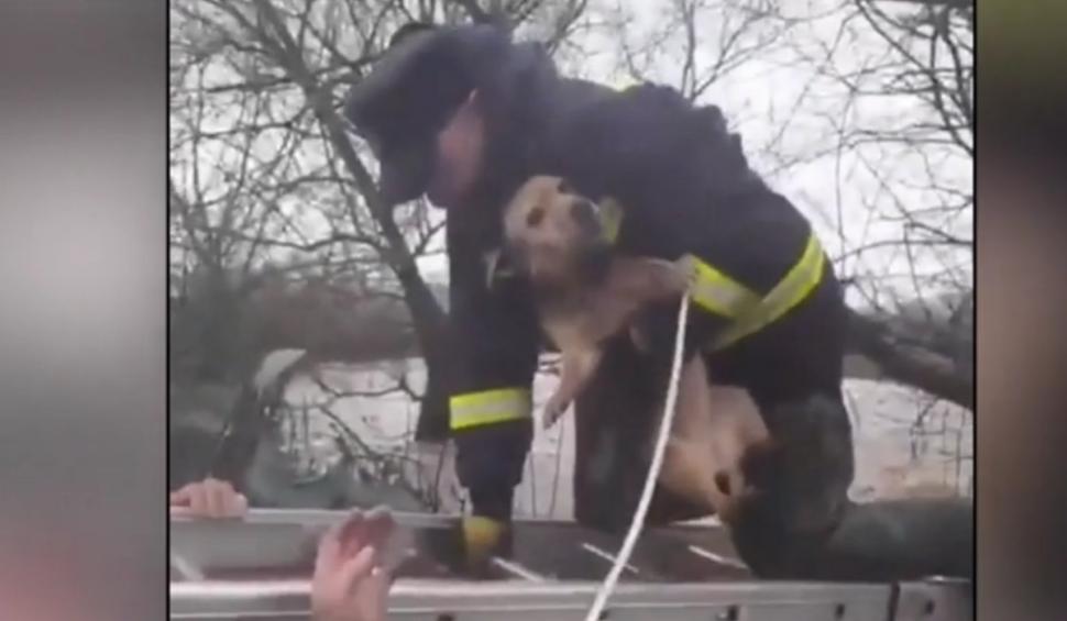 Imaginile dezastrului produs de ploile torențiale în mai multe județe din țară | Localnicii sunt în pragul disperării 886569