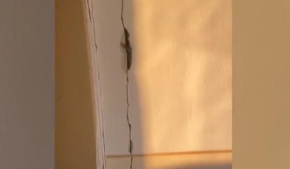 La un an de la cutremurele din Gorj, multe dintre clădirile publice avariate sunt la un pas să se prăbușească | 15 milioane de euro sunt blocaţi pentru că autoritățile se încurcă în proceduri 886842