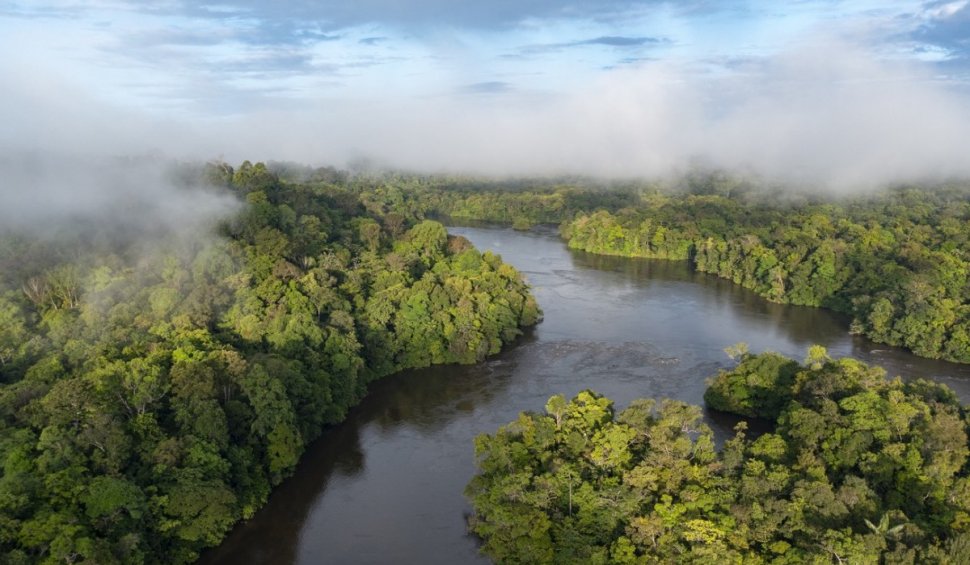 Pădurea amazoniană ar putea depăşi "un punct de ruptură", care ar provoca un colaps al ecosistemelor, până în 2050 | Studiu
