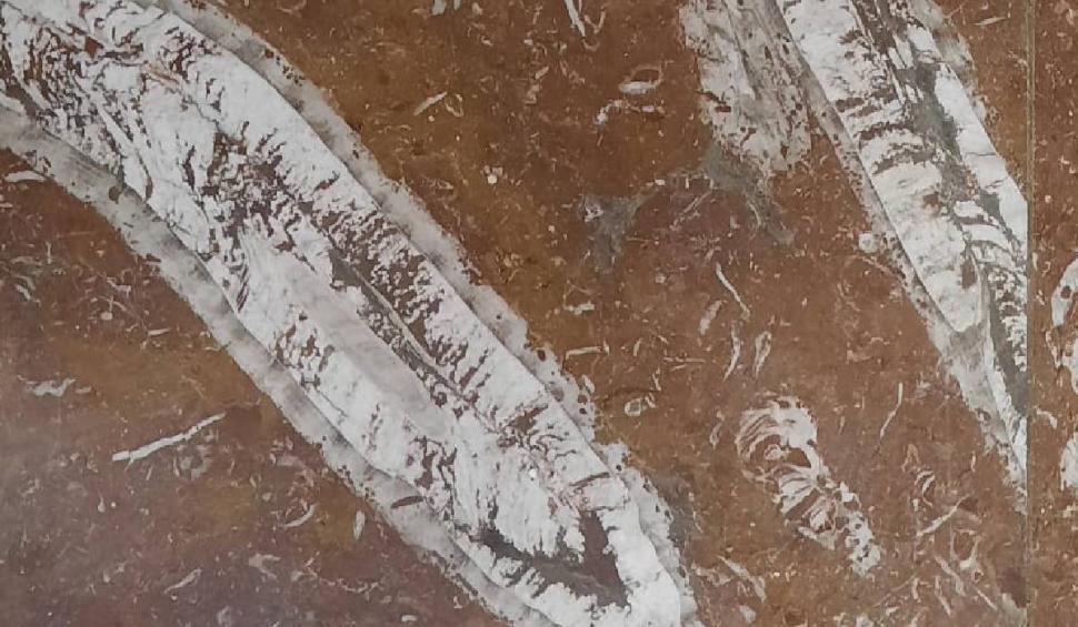 O stație de metrou din București, unică în lume. Românii care trec zilnic pe aici nu știu că pășesc pe o comoară 886479