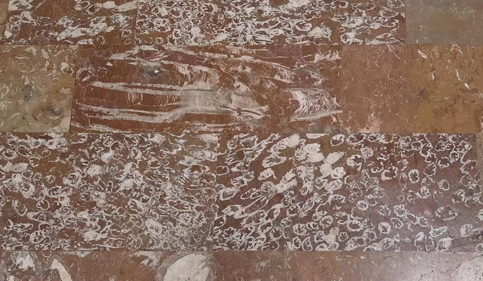 O stație de metrou din București, unică în lume. Românii care trec zilnic pe aici nu știu că pășesc pe o comoară 886481