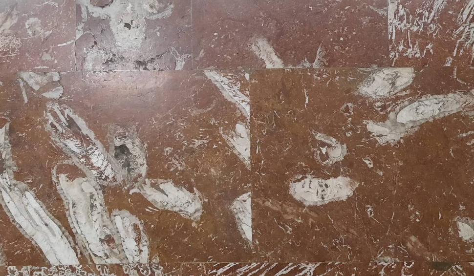 O stație de metrou din București, unică în lume. Românii care trec zilnic pe aici nu știu că pășesc pe o comoară 886482