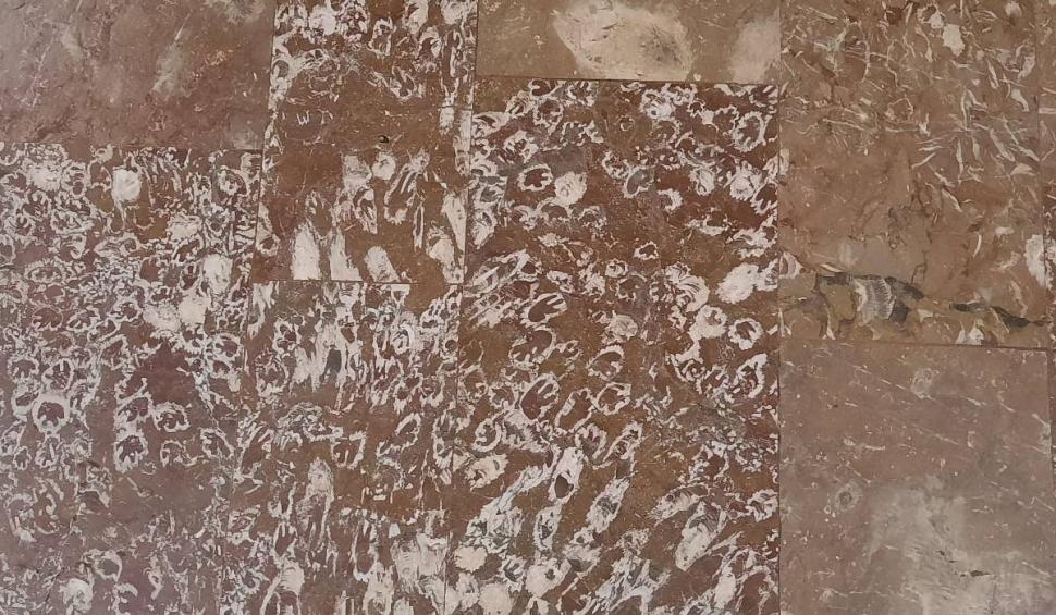 O stație de metrou din București, unică în lume. Românii care trec zilnic pe aici nu știu că pășesc pe o comoară 886483