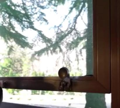 Imagini din Vila Lac 1: degradare, geamuri sparte și pereți cu infiltrații | Statul român vrea să investească aproape 60 milioane de euro pentru reabilitare 887024