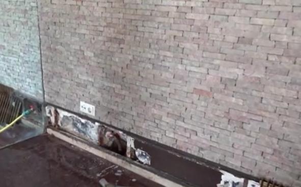 Imagini din Vila Lac 1: degradare, geamuri sparte și pereți cu infiltrații | Statul român vrea să investească aproape 60 milioane de euro pentru reabilitare 887027