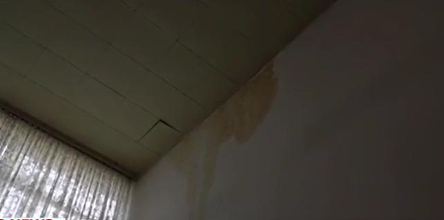 Imagini din Vila Lac 1: degradare, geamuri sparte și pereți cu infiltrații | Statul român vrea să investească aproape 60 milioane de euro pentru reabilitare 887033