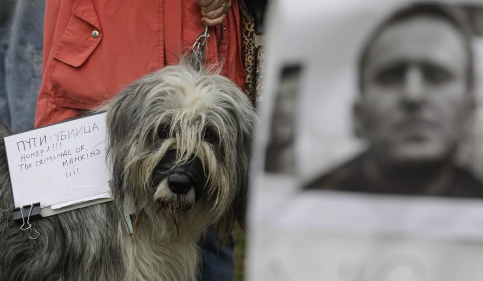 Trupul lui Aleksei Navalnîi, păzit la morgă de poliţişti, iar medicii au primit interzis pentru autopsie 887178