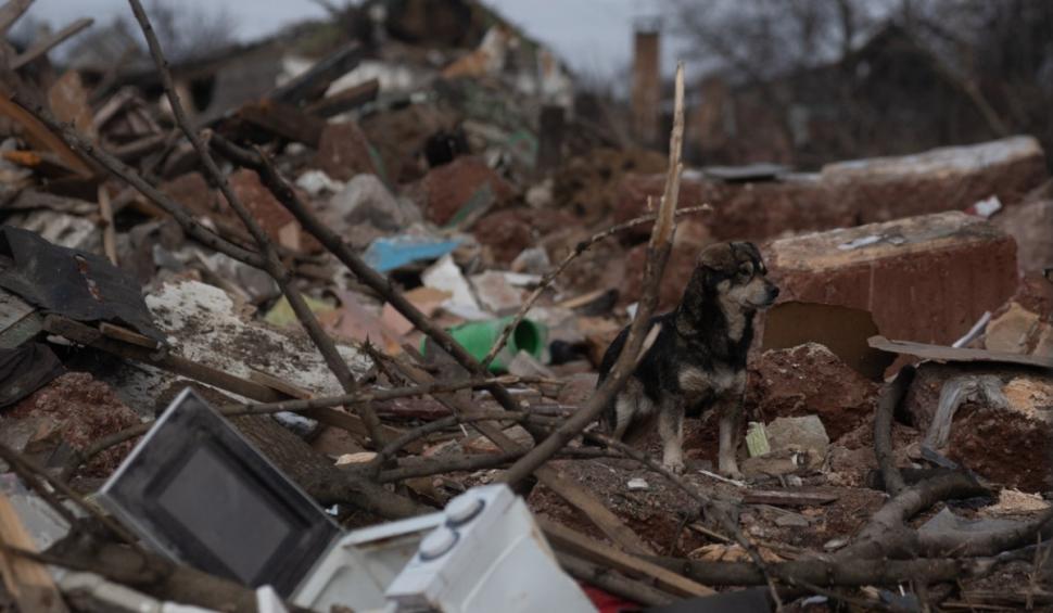 Război în Ucraina, ziua 731. Zelenski, după doi ani de război al Rusiei în Ucraina: "Vom învinge!" 888207