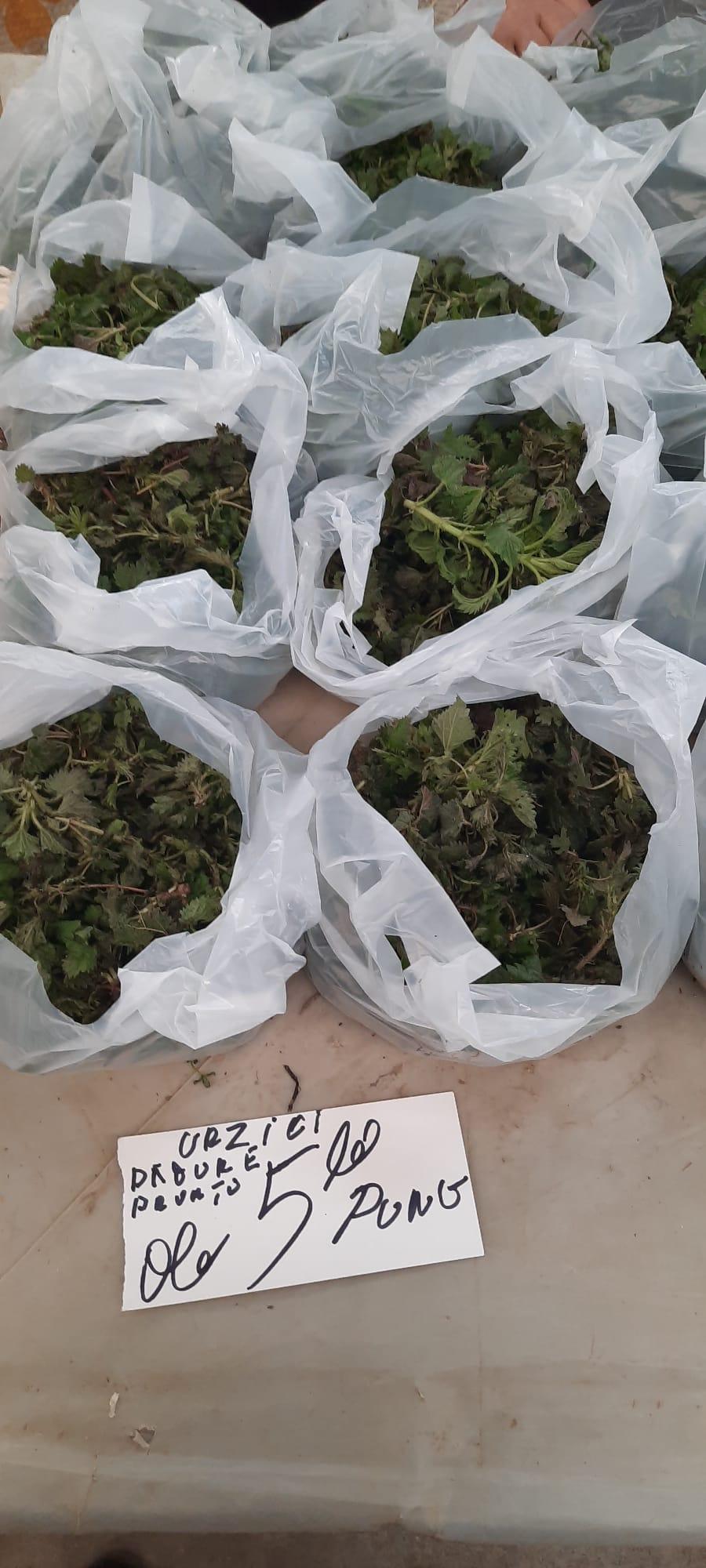 Cât a ajuns să coste un kilogram de urzici "gata culese" în Piaţa Obor din Bucureşti 888617