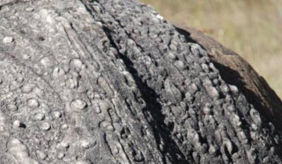 Stațiunea nouă din România unde poți să vezi "pietrele vii" care cresc încontinuu. Cât costă biletul 888650