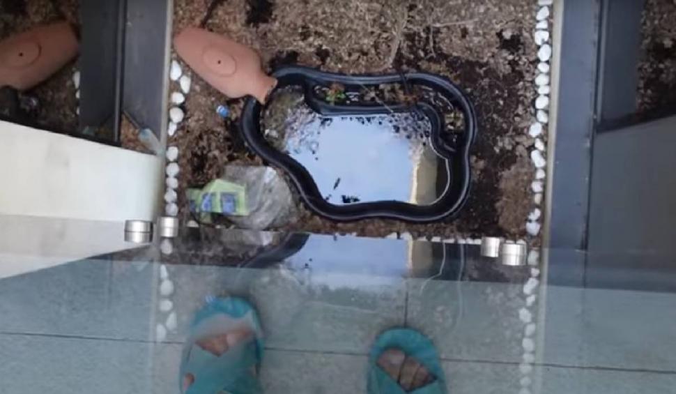 Imagini din vila de lux în care locuiește Liviu Vârciu împreună cu familia. Are buncăr şi cinema 889052