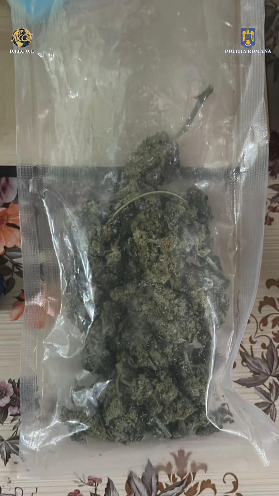 Cântărețul Gheboasă, suspect într-un dosar de deținere de droguri de risc, pentru consum propriu 889613