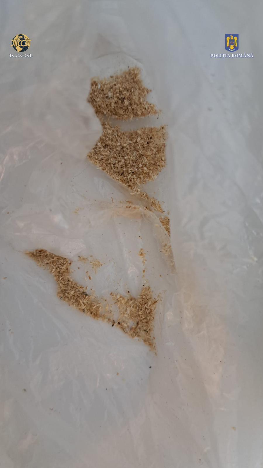 Cântărețul Gheboasă, suspect într-un dosar de deținere de droguri de risc, pentru consum propriu 889617