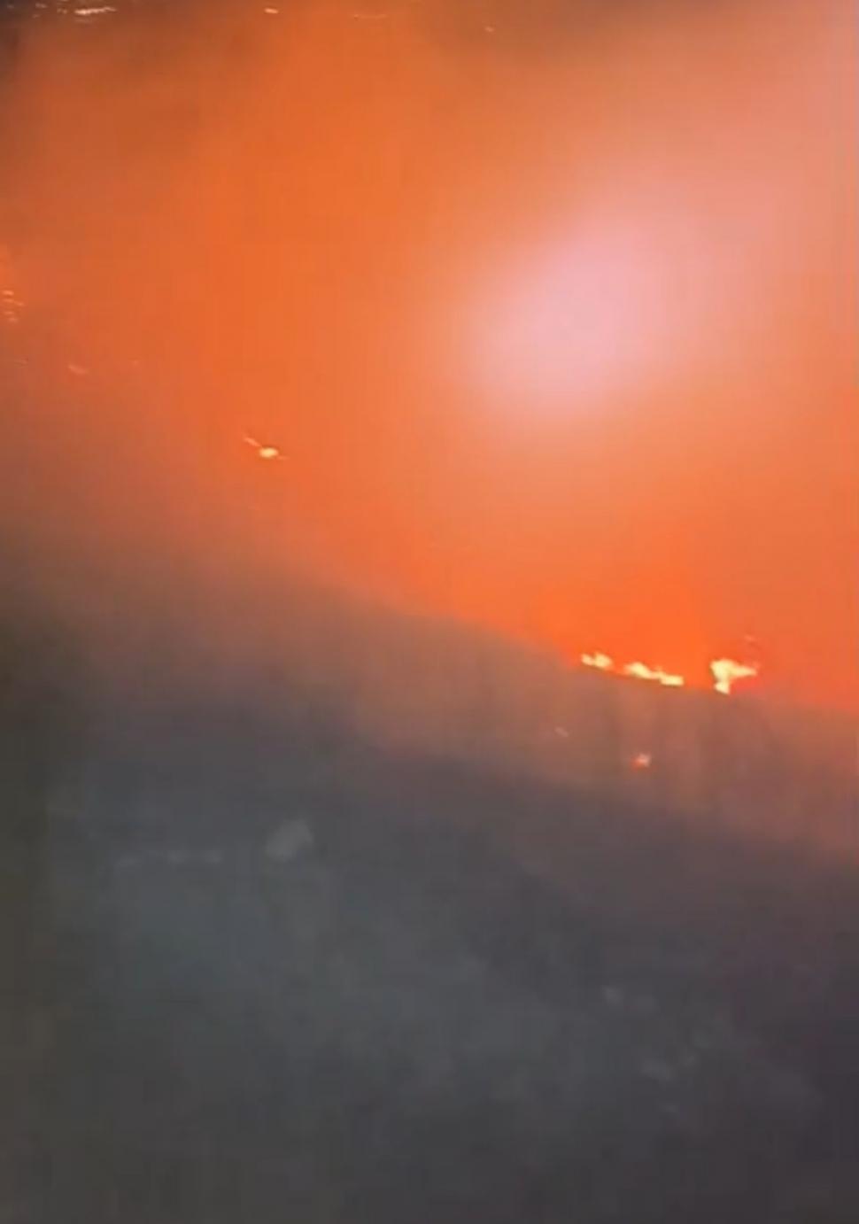 Incendiu violent în Mureș | Mai mult de 20 de hectare de vegetație uscată au fost cuprinse de flăcări 889624