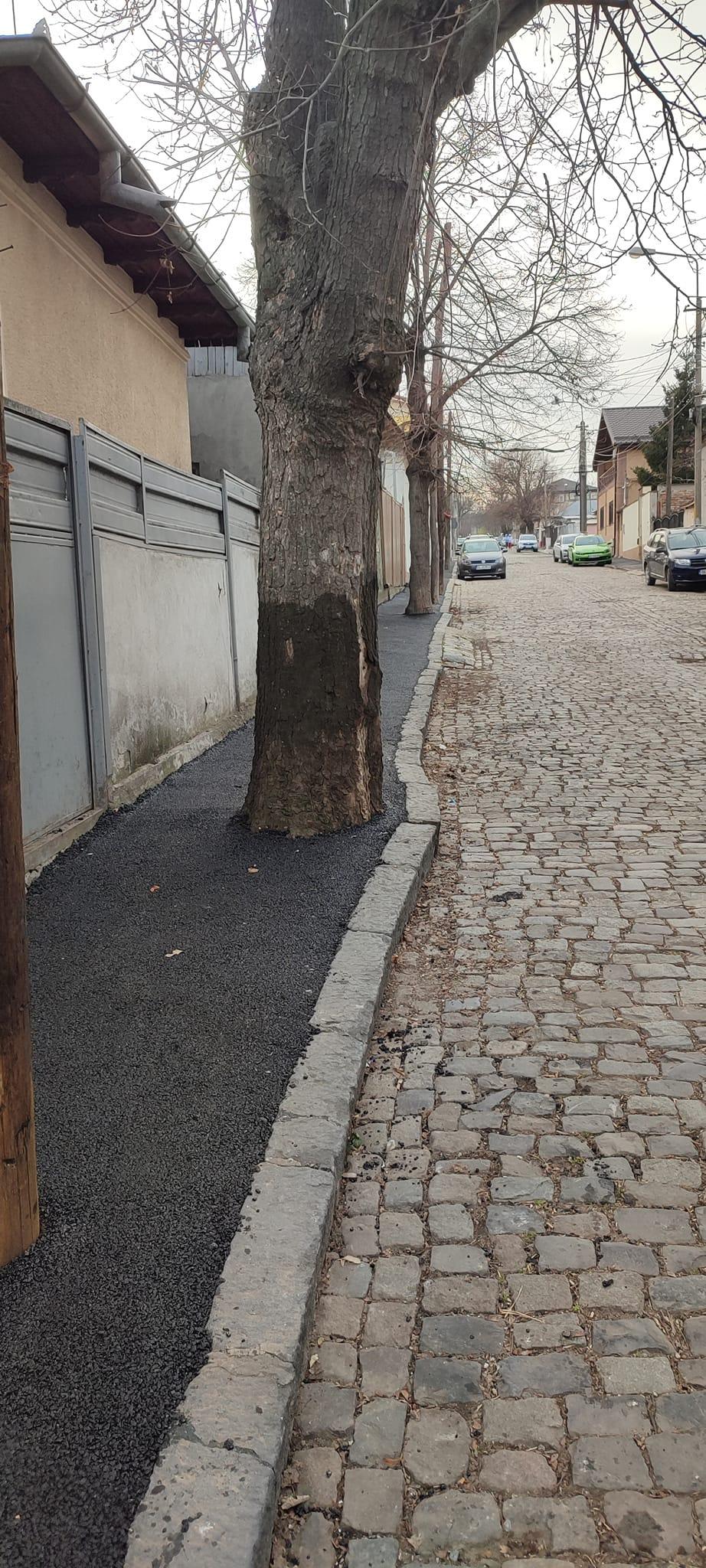 Asfalt turnat la trunchiul copacilor, pe trotuarul unei străzi cu piatră cubică și gropi din Galați 889790