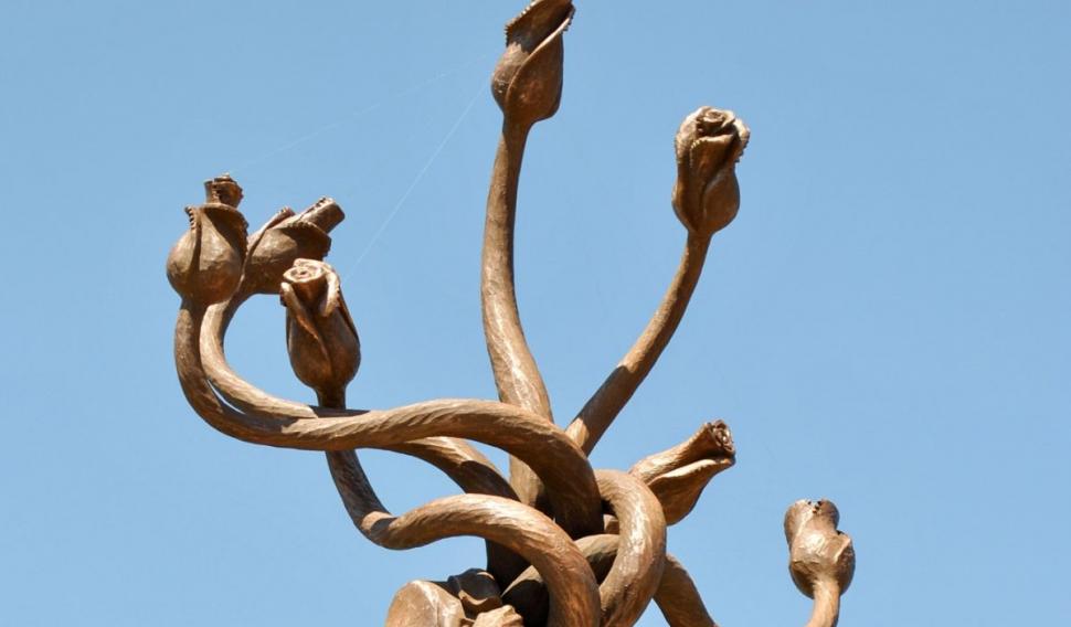 Controversata sculptură "Hidra”, vandalizată la Iaşi, este scoasă la licitaţie. Cu cât se vinde opera românului Costin Ioniță 891342
