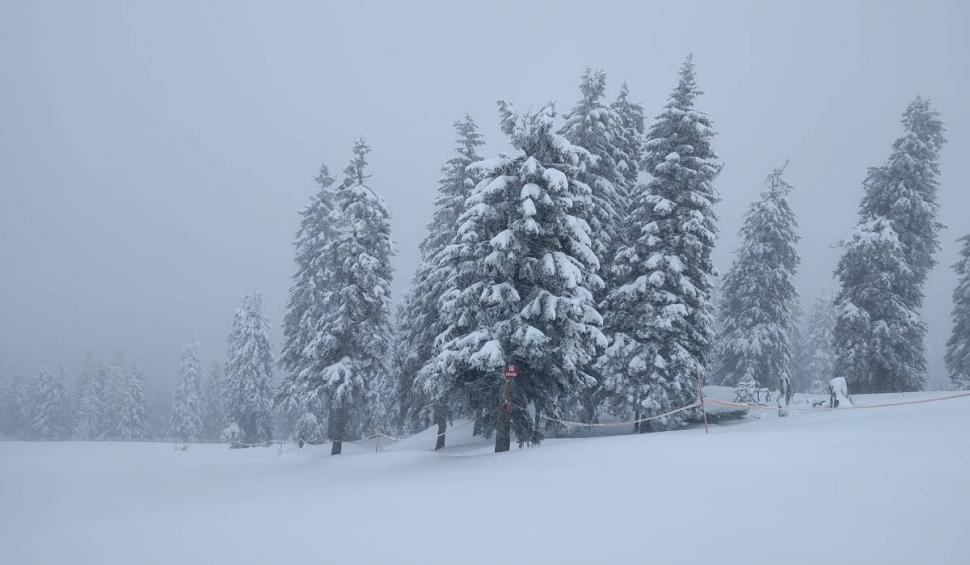 Ninge în Poiana Brașov. Stratul de zăpadă depus depășește 20 de centimetri 891540