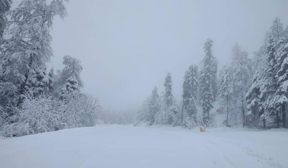 Ninge în Poiana Brașov. Stratul de zăpadă depus depășește 20 de centimetri 891542