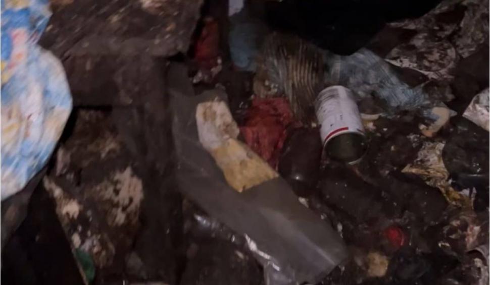 Câini şi pisici ţinute captive, fără apă și mâncare, într-un apartament, de un pensionar. Un câine s-ar fi aruncat pe geam, de la etajul opt 891841