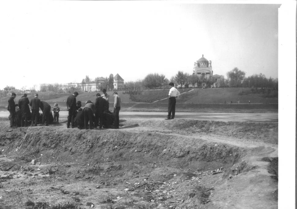 Locul din centrul Bucureștiului unde, acum 50 de ani, pășteau oi și vaci: "Foarte interesante pozele!" 891750