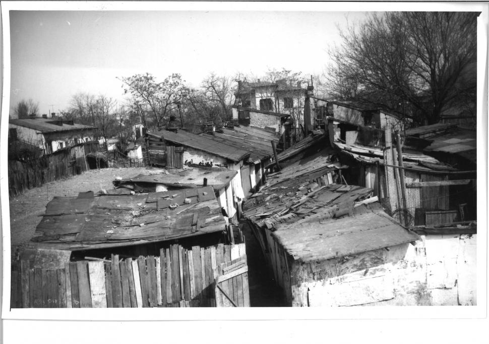 Locul din centrul Bucureștiului unde, acum 50 de ani, pășteau oi și vaci: "Foarte interesante pozele!" 891752