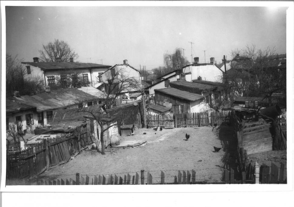 Locul din centrul Bucureștiului unde, acum 50 de ani, pășteau oi și vaci: "Foarte interesante pozele!" 891755