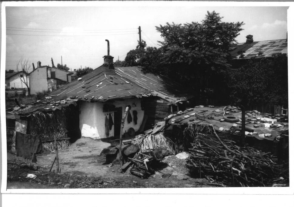 Locul din centrul Bucureștiului unde, acum 50 de ani, pășteau oi și vaci: "Foarte interesante pozele!" 891756